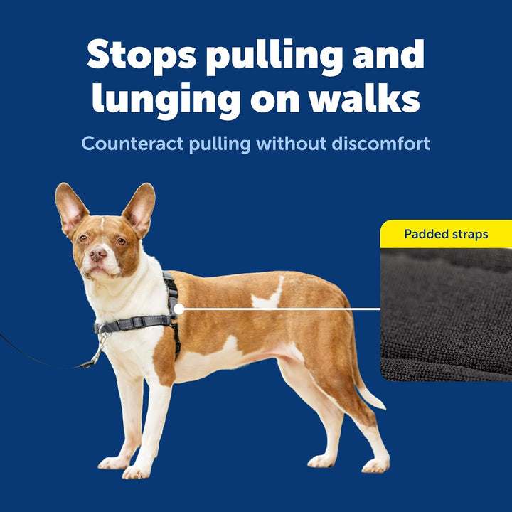 PetSafe Deluxe Easy Walk Hundegeschirr Stahlgrau / Schwarz Medium, Stahlgrau / Schwarz Medium