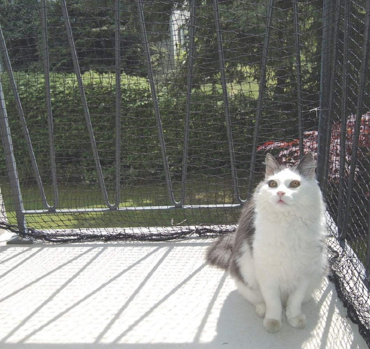 Windhager Katzenschutz-Netz, Katzengitter, Katzenschutz-Netz Katzennetz für Balkon, Balkon Terrasse