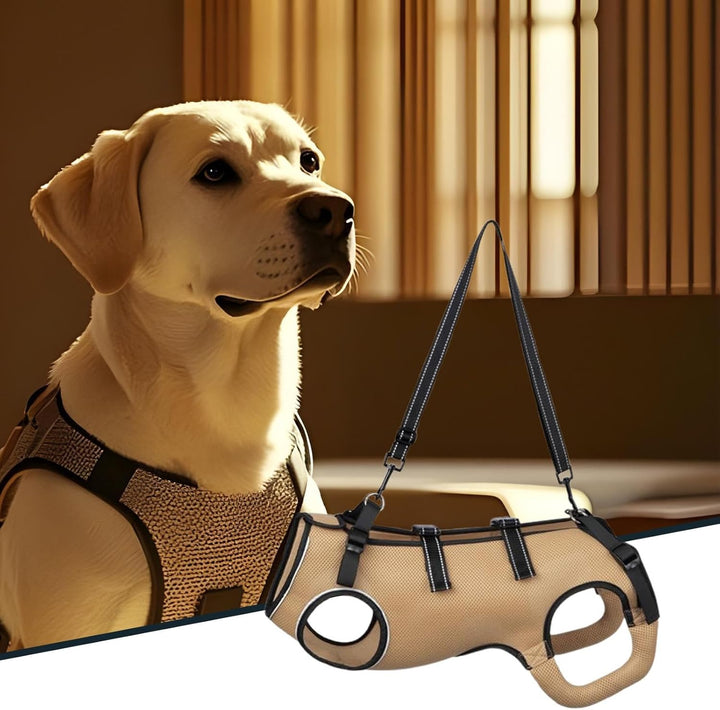 Hebegurt Altere Hunde - Tragehilfe Für Haustiere | Verstellbares Gehhilfe Hilfsmittel Altere Behinde