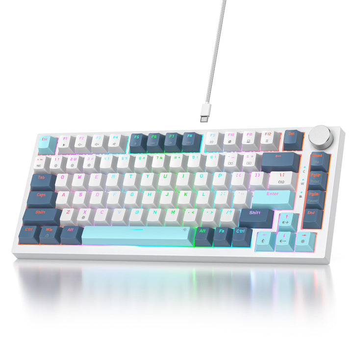 SOLIDEE Verkabelte Mechanische Gaming Tastatur 75 Prozent,hot-swap-fähige Mechanische Tastatur mit G