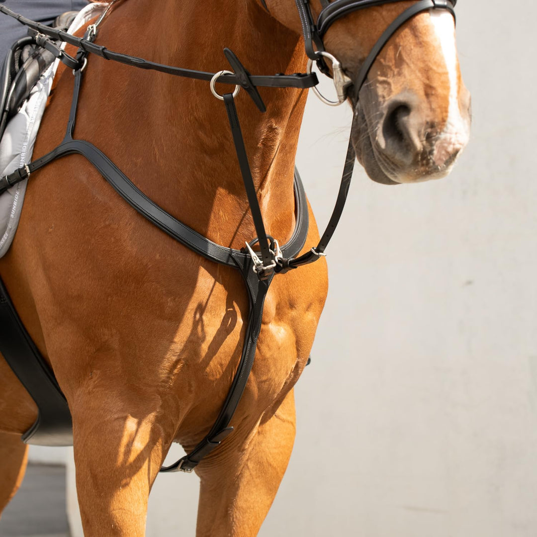 SUNRIDE Vorderzeug Ascot aus Echtleder mit Martingal - für Pferde - als 5-Punkt und 3-Punkt nutzbar