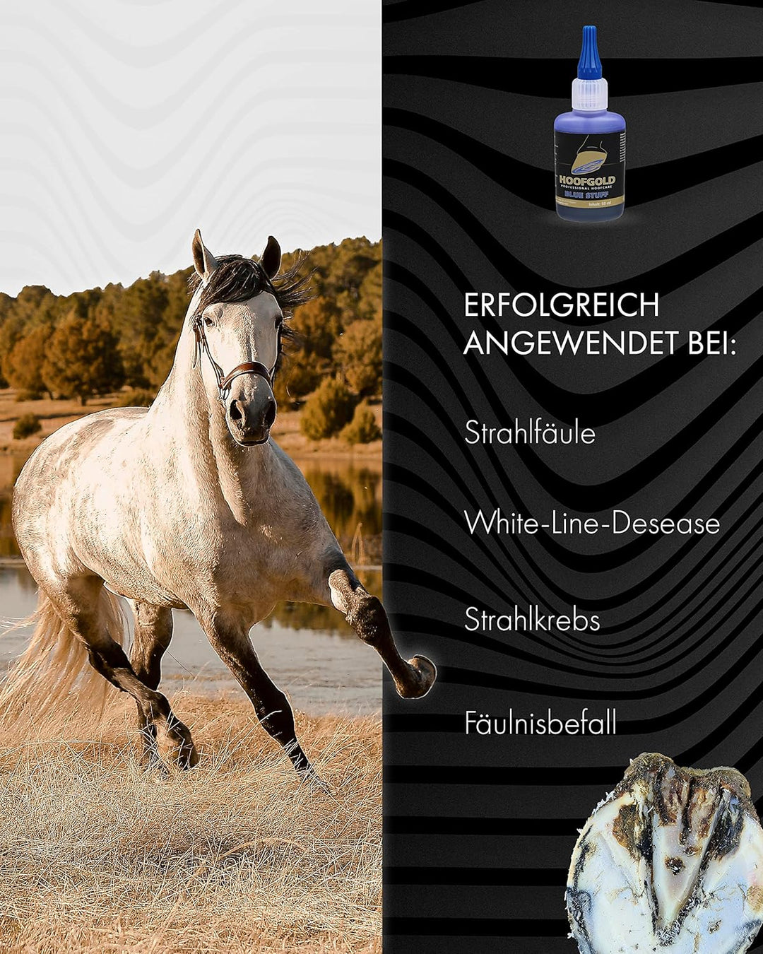 BlueStuff Hufpflegemittel 50 ml - Strahlfäule Pferd Mittel - schnelle Hilfe