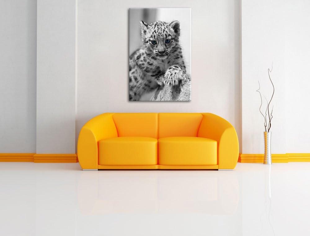 niedliches Leopardenjunges beim Klettern schwarz/weiss auf Leinwand, XXL riesige Bilder fertig gerah