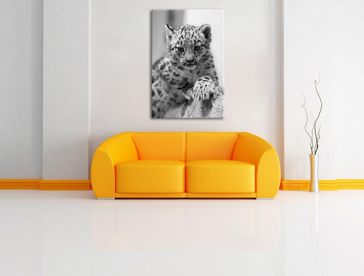 niedliches Leopardenjunges beim Klettern schwarz/weiss auf Leinwand, XXL riesige Bilder fertig gerah