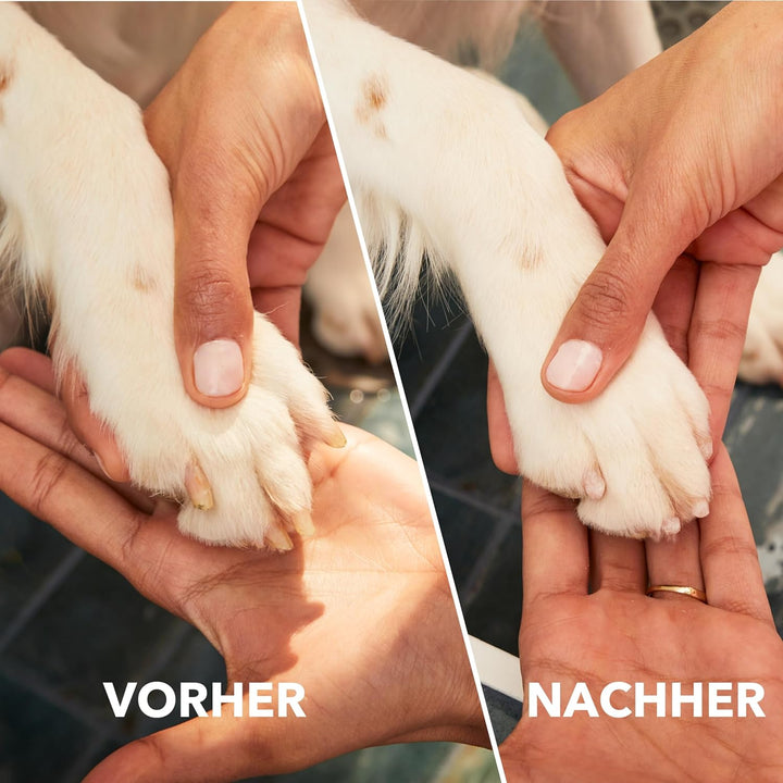 Dremel MAX Schleifstift für die Tiernagelpflege, diamantbeschichtetes Zubehör für eine schnellere An