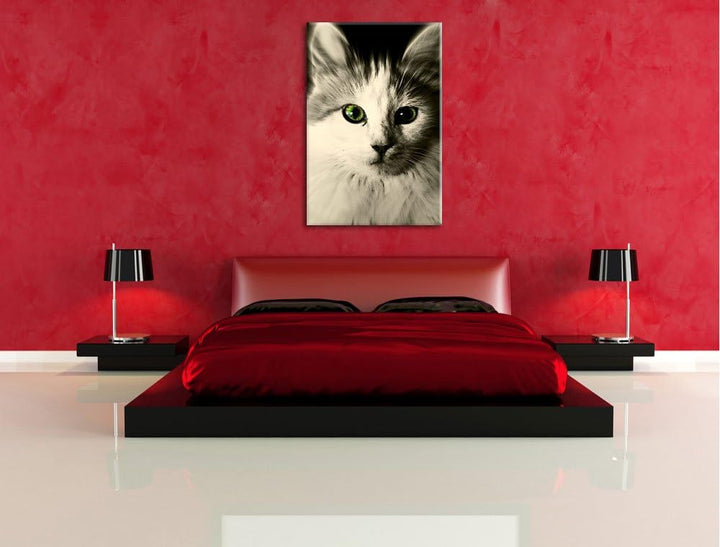 Pixxprint anmutige Katze auf Leinwand, XXL riesige Bilder fertig gerahmt mit Keilrahmen, Kunstdruck