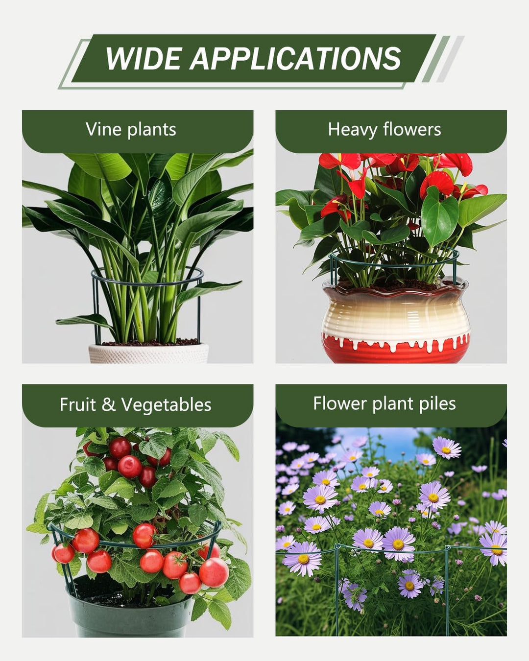 Pflanzenstütze Ringkäfige, SproutMaven 10 Stück Metall Halbrunde Garten Pflanzenhalter Blumenstütze