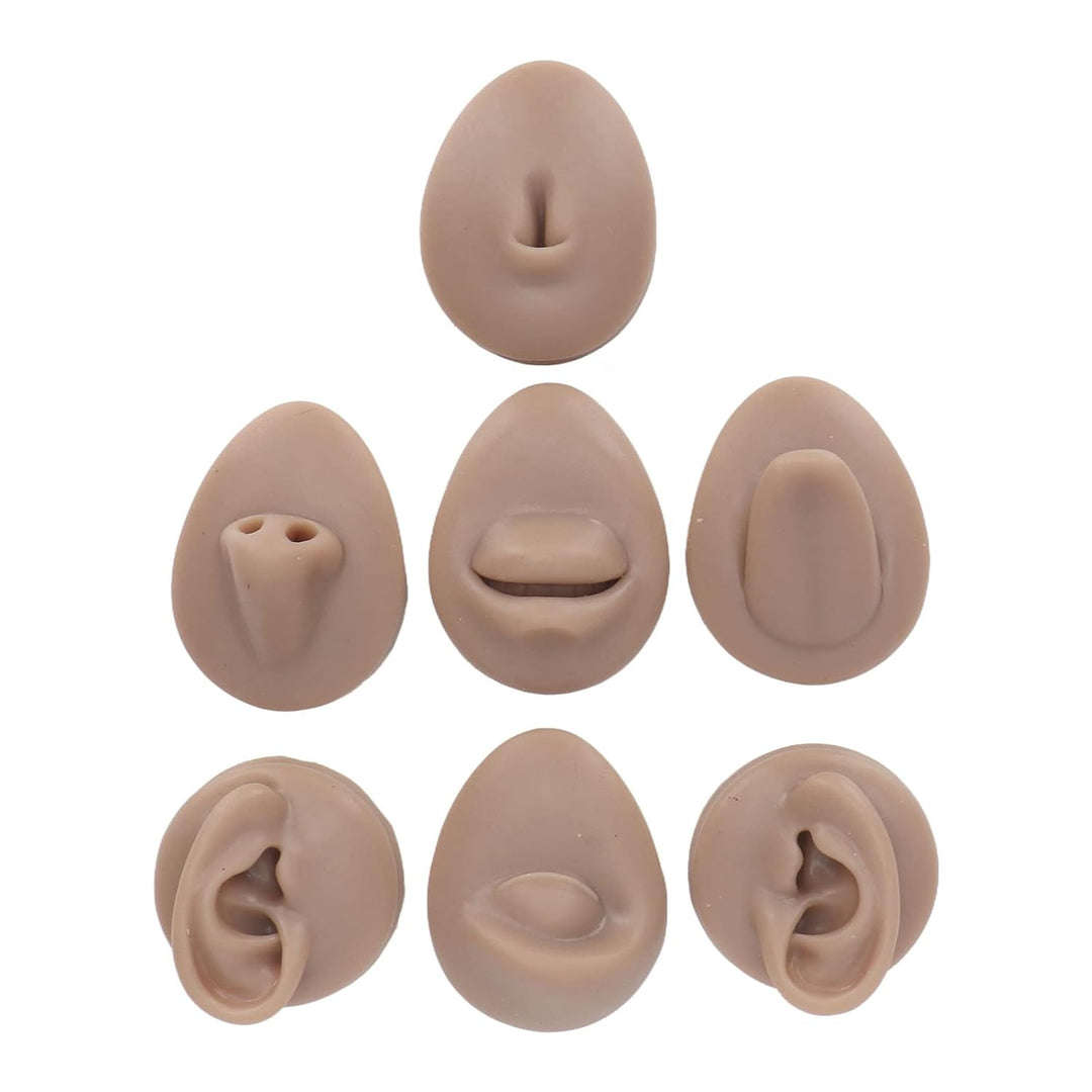 Weiches Silikon, Flexibles Modell, Körperteil-Display-Set, Body-Piercing-Übungsmodell, Simulation, O