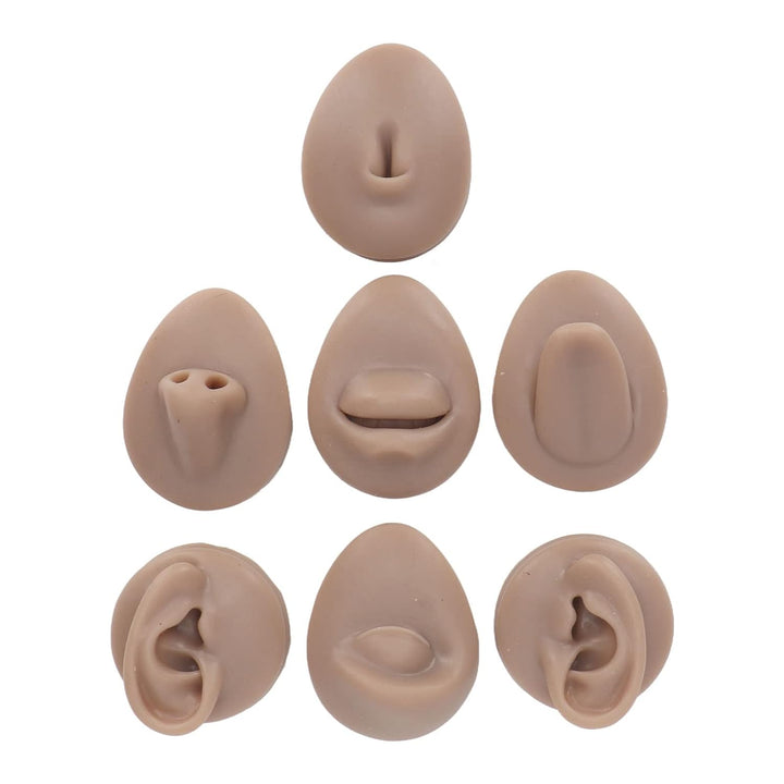 Weiches Silikon, Flexibles Modell, Körperteil-Display-Set, Body-Piercing-Übungsmodell, Simulation, O