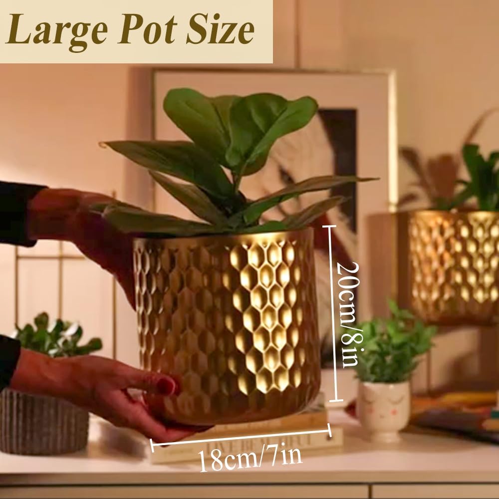 TRIROCKS Set aus 2 Metall Pflanzenständer 31 cm & 45 cm Blumenständer Moderne Pflanzenhalter Blumenh
