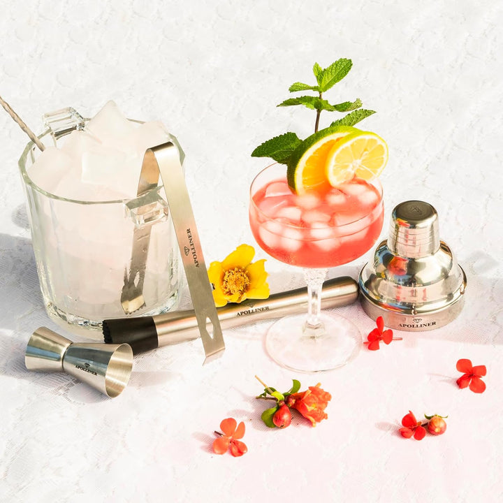 apolliner, Cocktailshaker, Professional Cocktail Shaker Set, Stainless Steel, 16 Pieces, Wooden Carr