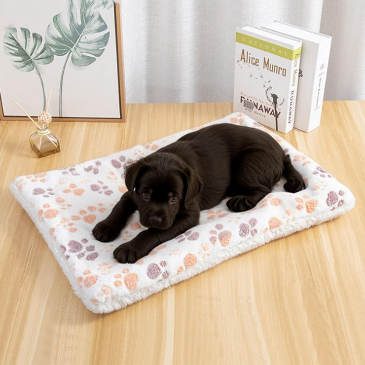 2 StüCk Kleintier PlüSchbett, Warm Und Flauschig Meerschweinchen Bett, 40 X 30 cm Kaninchen Bett, Ge