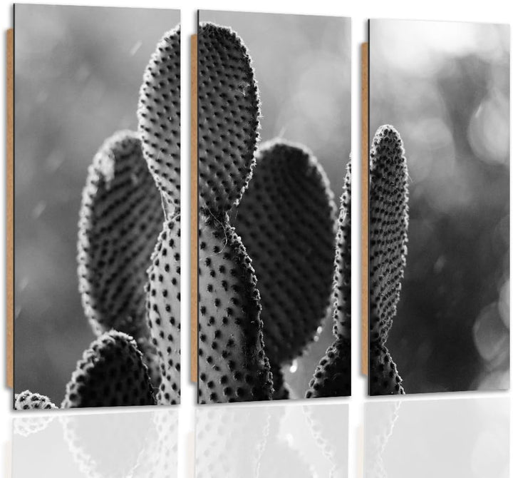 Feeby. Wandbilder - 3 Teile - Gedrucktes Bild, Foto, Kunstdrucke, Deko Panel, 3-Teilig, Foto, Typ C,