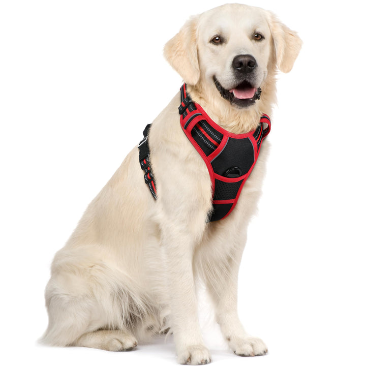 rabbitgoo Hundegeschirr Mittelgrosse Hunde, Anti Zug Geschirr mit Kontrolle, No Pull Verstellbar Hun