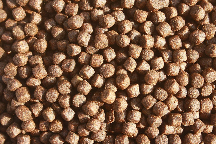 Wachstumsfutter für Koi Schwimmfutter Grower energiereiches Koifutter Aufzuchtfutter schwimmendes En