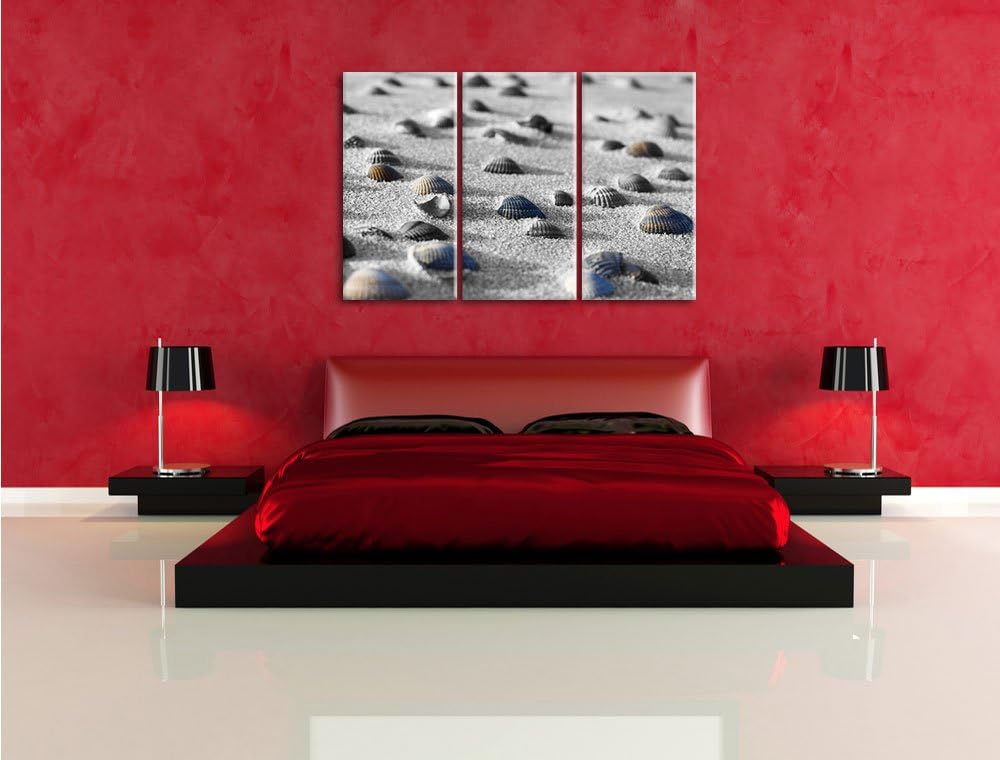 Pixxprint Muscheln im Sand als Leinwandbild | Grösse: 3 Teilig (120x80) | Wandbild| Kunstdruck | fer