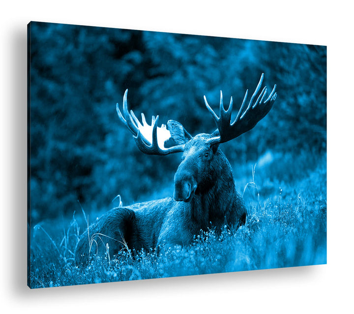 deyoli ruhig liegender Elch Format 120x80 Effekt: Monocrome Blau als Leinwandbild, Motiv fertig gera