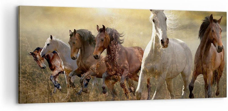 Panorama Bilder auf Leinwand 100x40cm Leinwandbild Pferd Tier Natur Gross Wanddeko Bild Schlafzimmer