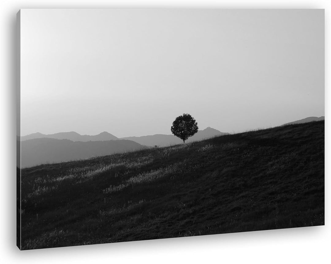 deyoli Baum in einsamer Landschaft in Umbrien Effekt: Schwarz/Weiss im Format: 80x60 als Leinwandbil