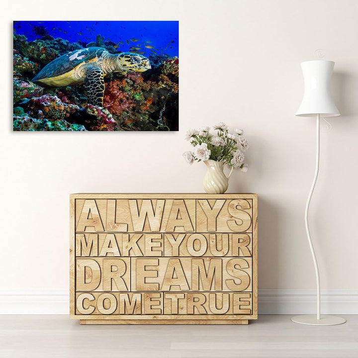 Feeby Bilder Schildkröte Natur 70x50 cm Wohnzimmer Schlafzimmer Büro Flur Küche Wandbilder Modern Bi