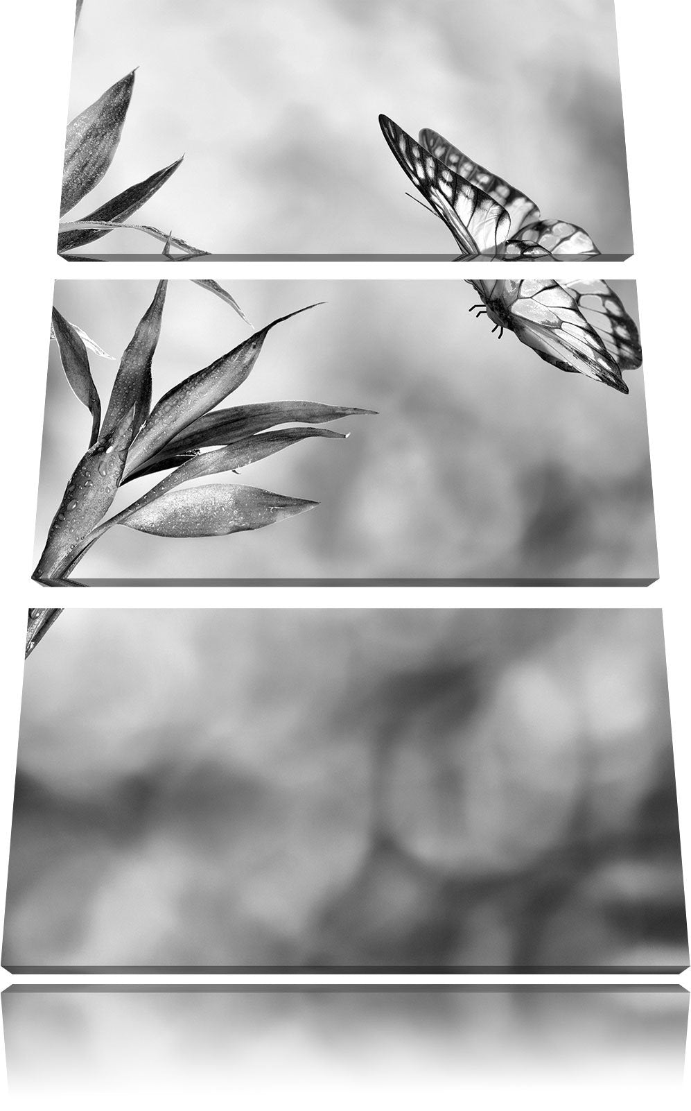Pixxprint Bambus mit Schmetterling als Leinwandbild/Grösse: 3 Teilig (120x80) cm/Wandbild/Kunstdruck