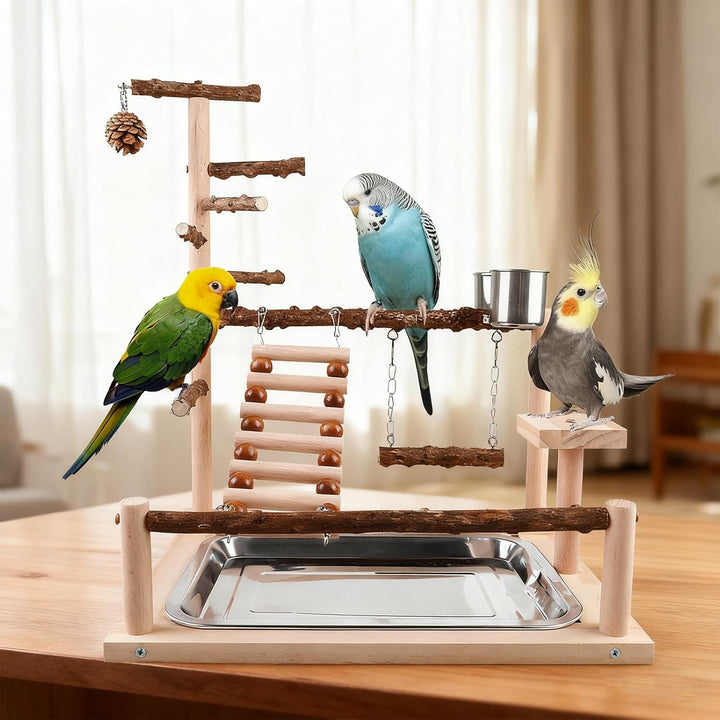 Vögel Spielplatz, Wellensittich Spielplatz Vogel-Spielplatz, Papageienspielständer Mit Feeder Cup Un