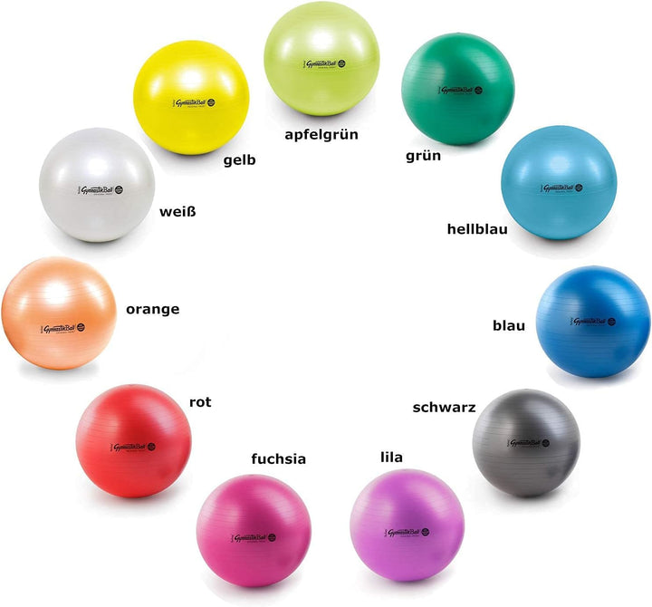 Original Pezzi Gymnastikball Maxafe Ø 42, 53, 65 & 75cm in Allen Farben - bis 400 kg belastbar - Fit