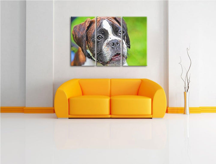 Deutscher Boxer Welpe im Gras NewArt 3-Teiler Leinwandbild 120x80 Bild auf Leinwand, XXL riesige Bil