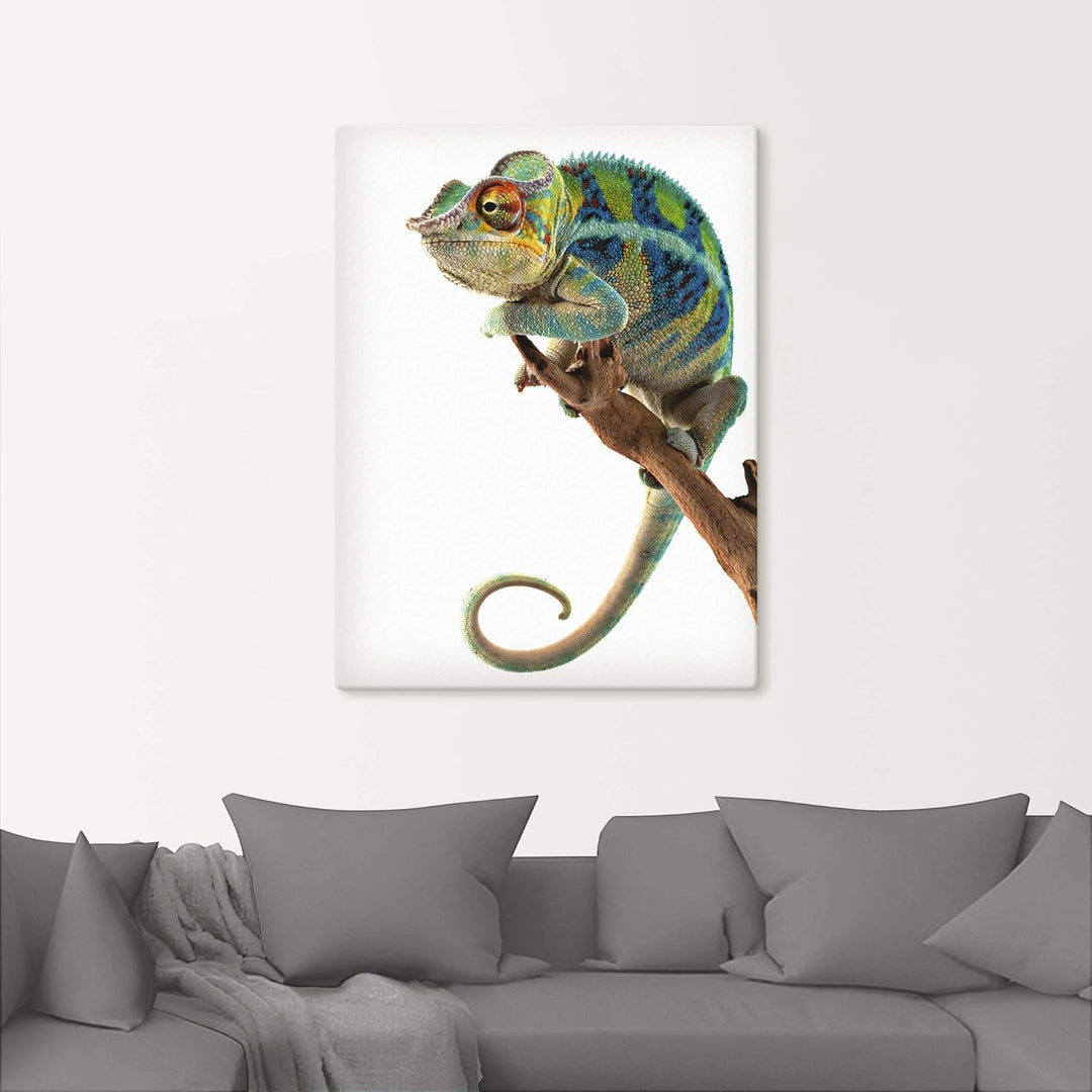 ARTland Leinwandbilder Wandbild Bild auf Leinwand 60x80 cm Tiere Reptilien Chamäleon Madagaskar Zoot
