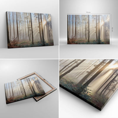 Bilder auf Leinwand Wald Baum Natur Leinwandbild mit Rahmen 70x50cm Wandbilder Dekoration Wohnzimmer