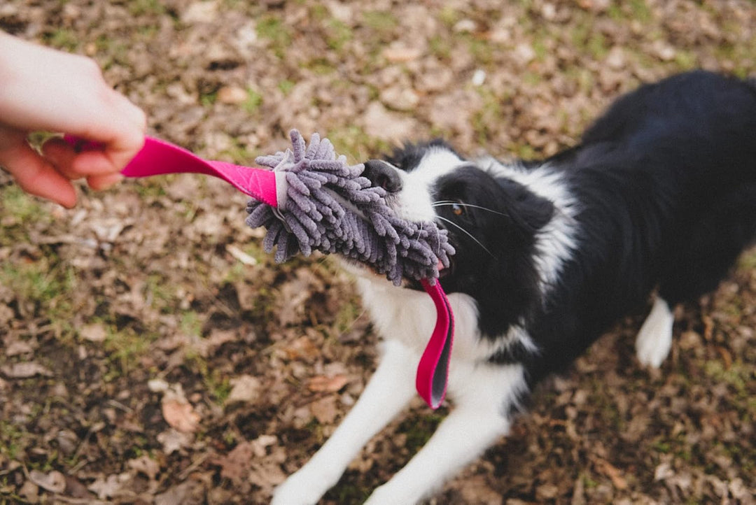 Dingo Mop mit Zwei Griff Hundespielzeug länge 60 cm Agility Apporte Motivation Spiel mit Hund Zerrsp