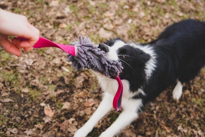 Dingo Mop mit Zwei Griff Hundespielzeug länge 60 cm Agility Apporte Motivation Spiel mit Hund Zerrsp