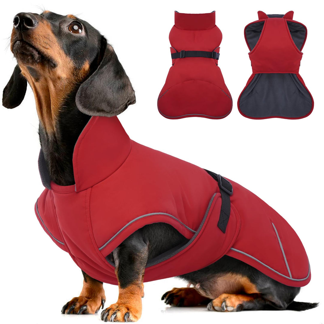 Hundemantel Dackel, Winddichter Wasserdichter Wintermantel Für Dackel Hunde, Hundejacke Für Grosse H