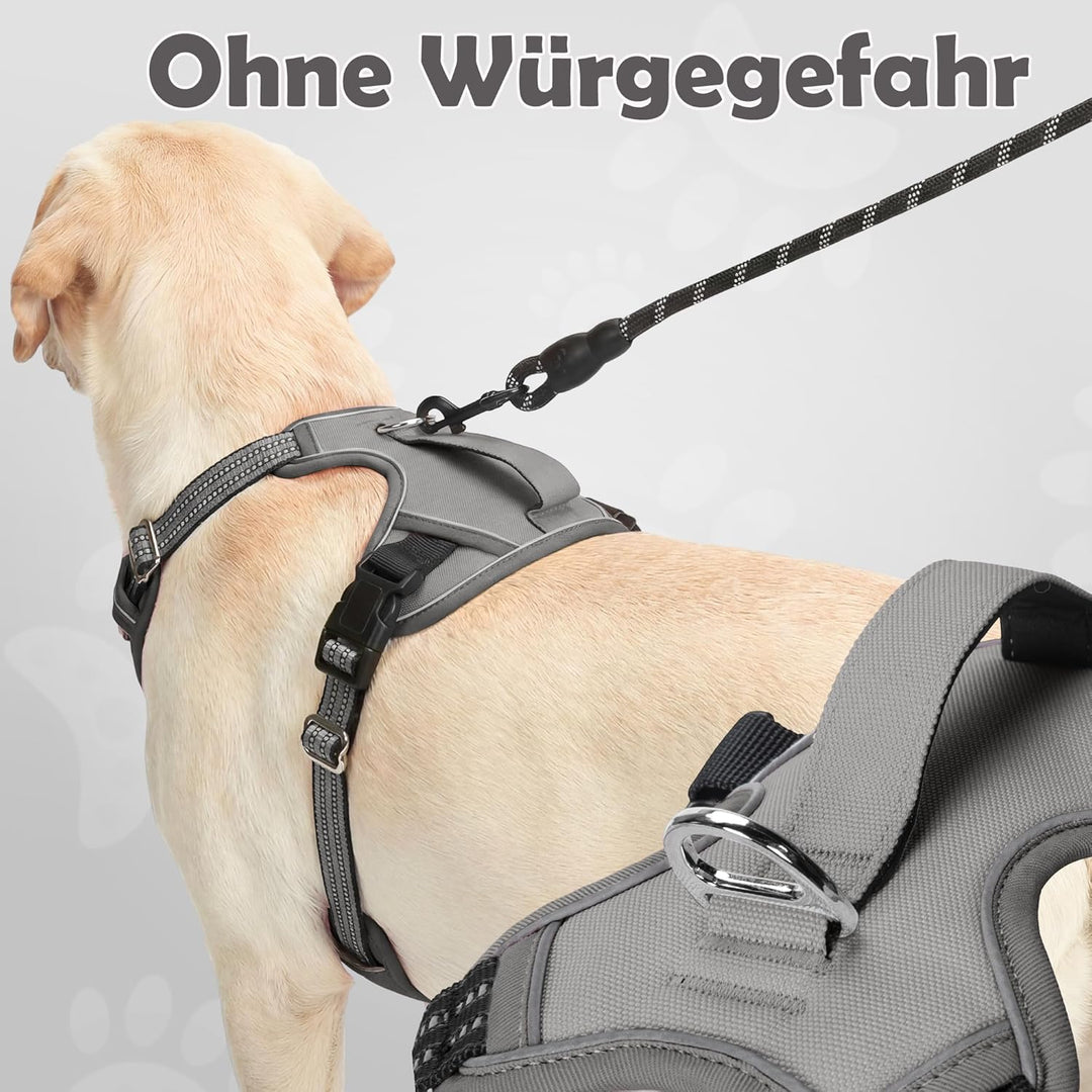 Funfox Hundegeschirr Mittelgrosse Hunde [M] - Verstellbares Anti-Zug Brustgeschirr mit Griff &amp; Refle