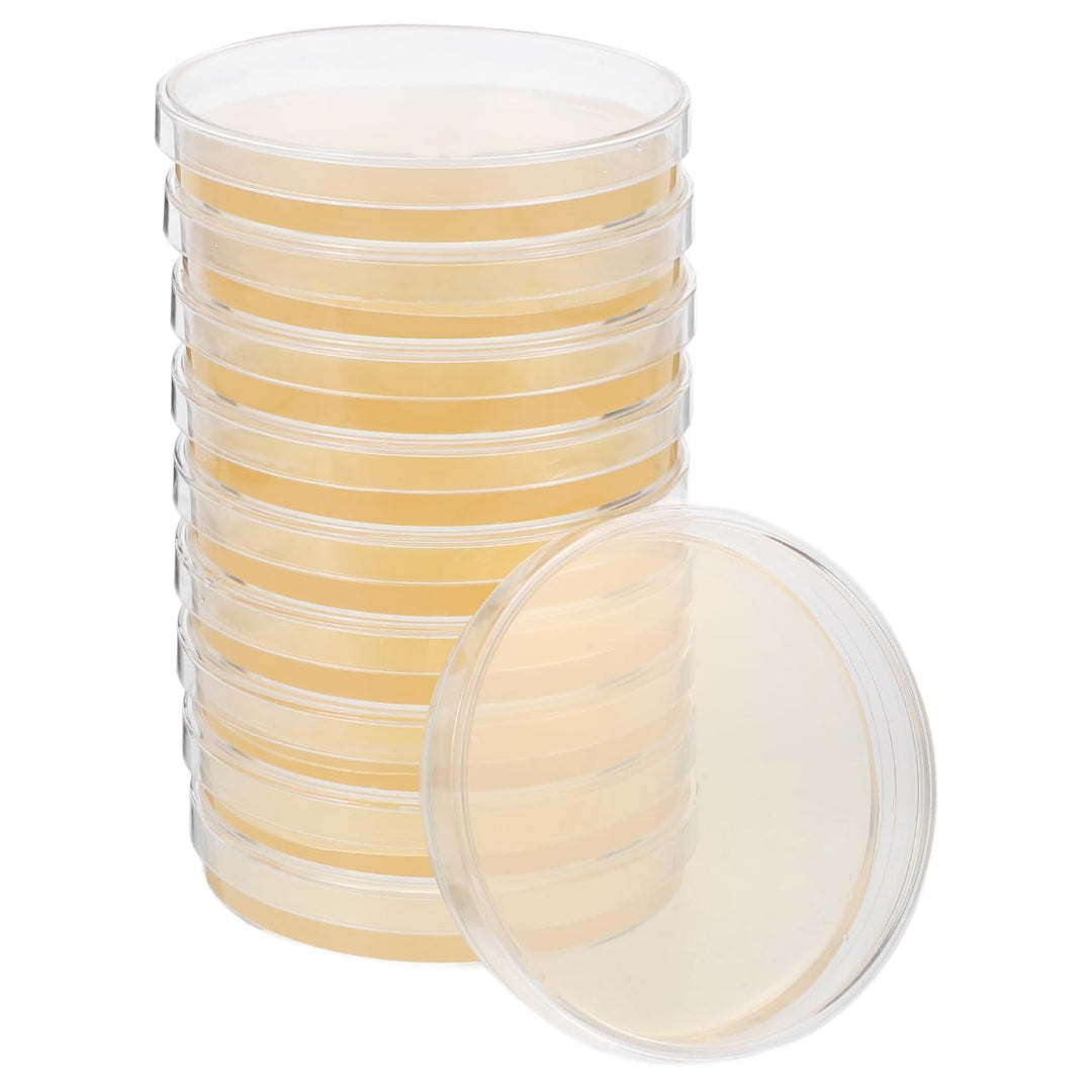 ULTECHNOVO Petrischalen mit Agar R2a-Agarplatten Vorgegossene Petrischalen 100 X 100 Mm R2a-Nährbode