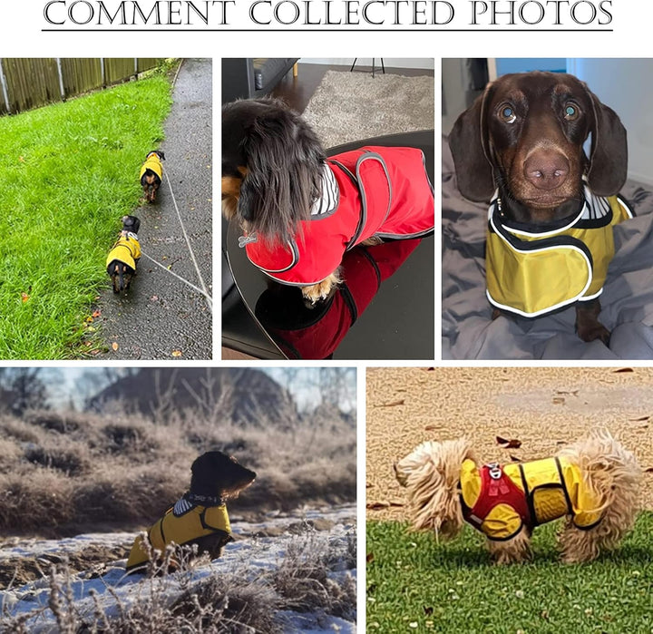 Geyecete Hunde Regenmantel,Einstellbar Wasserdicht Hundejacke für Dackel,Regenmantel mit reflektiere