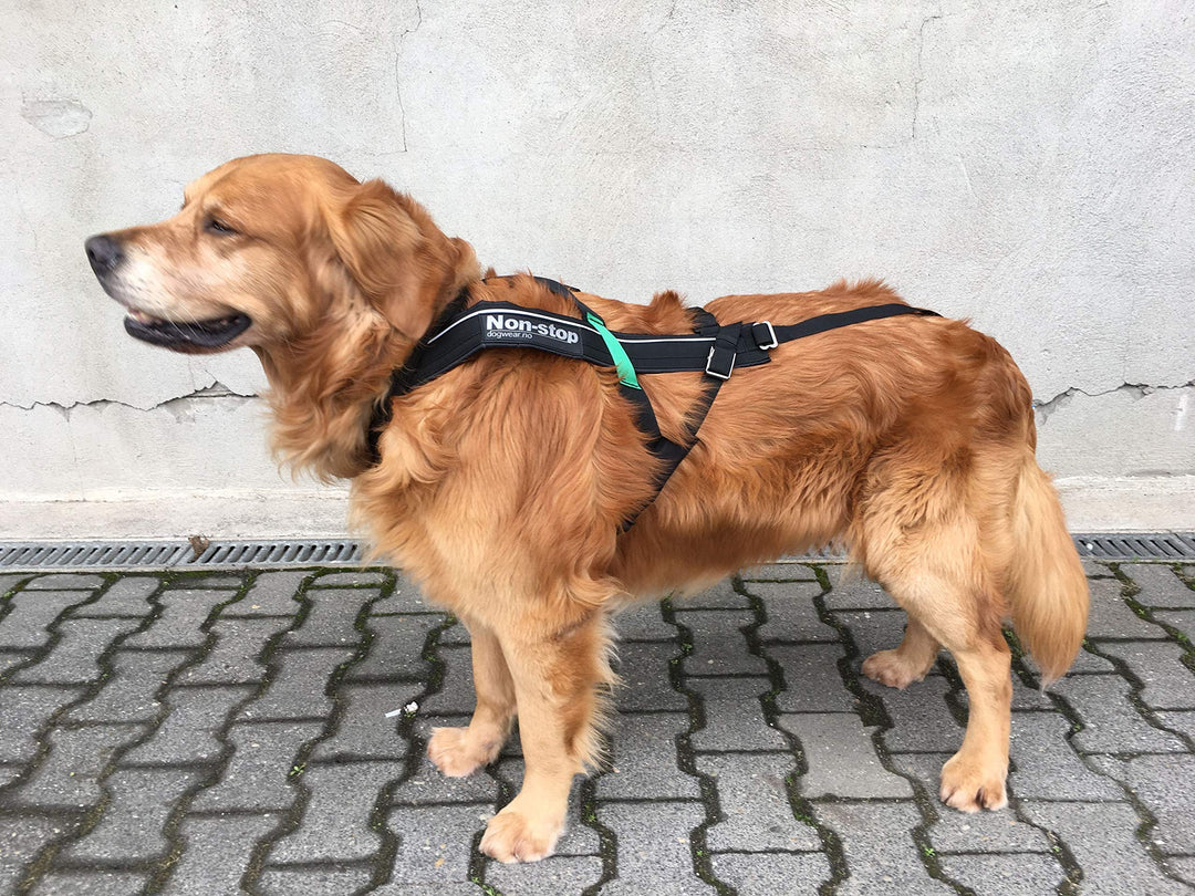 DOG Copenhagen Non-Stop Geschirr für Canicross Free Motion, Grösse T9 Schwarz 8, Schwarz 8
