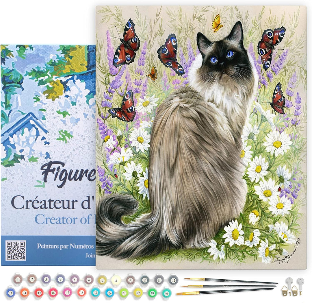 Figured'Art Malen Nach Zahlen Erwachsene Mit Rahmen Katze und Schmetterlinge - Paint by Numbers Bast