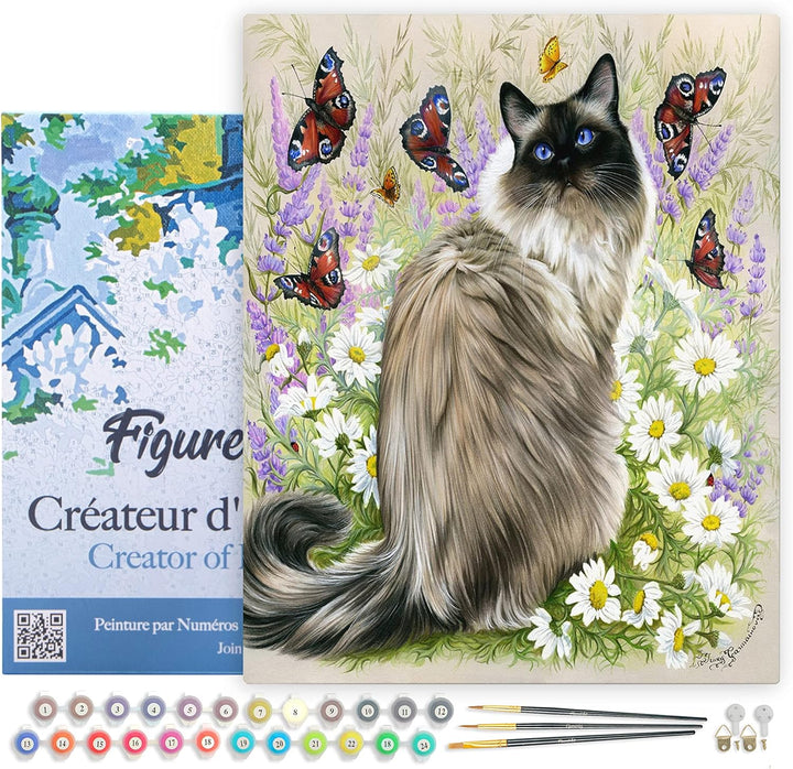 Figured'Art Malen Nach Zahlen Erwachsene Mit Rahmen Katze und Schmetterlinge - Paint by Numbers Bast