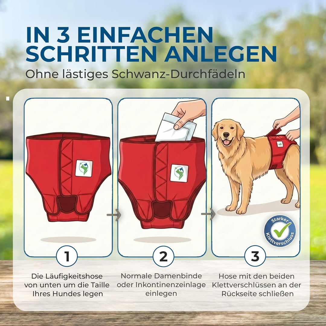 Läufigkeitshose für Hündinnen 2.0 - Hundewindeln aus hochwertigem perforiertem Neopren für einen opt