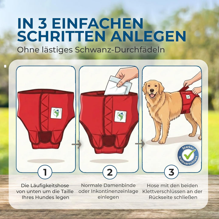 Läufigkeitshose für Hündinnen 2.0 - Hundewindeln aus hochwertigem perforiertem Neopren für einen opt