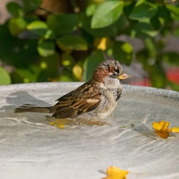 Steintrog Vogeltränke - Tier-Wassernapf aus Naturstein - Handgefertigte Schale - für Vögel, Hunde &