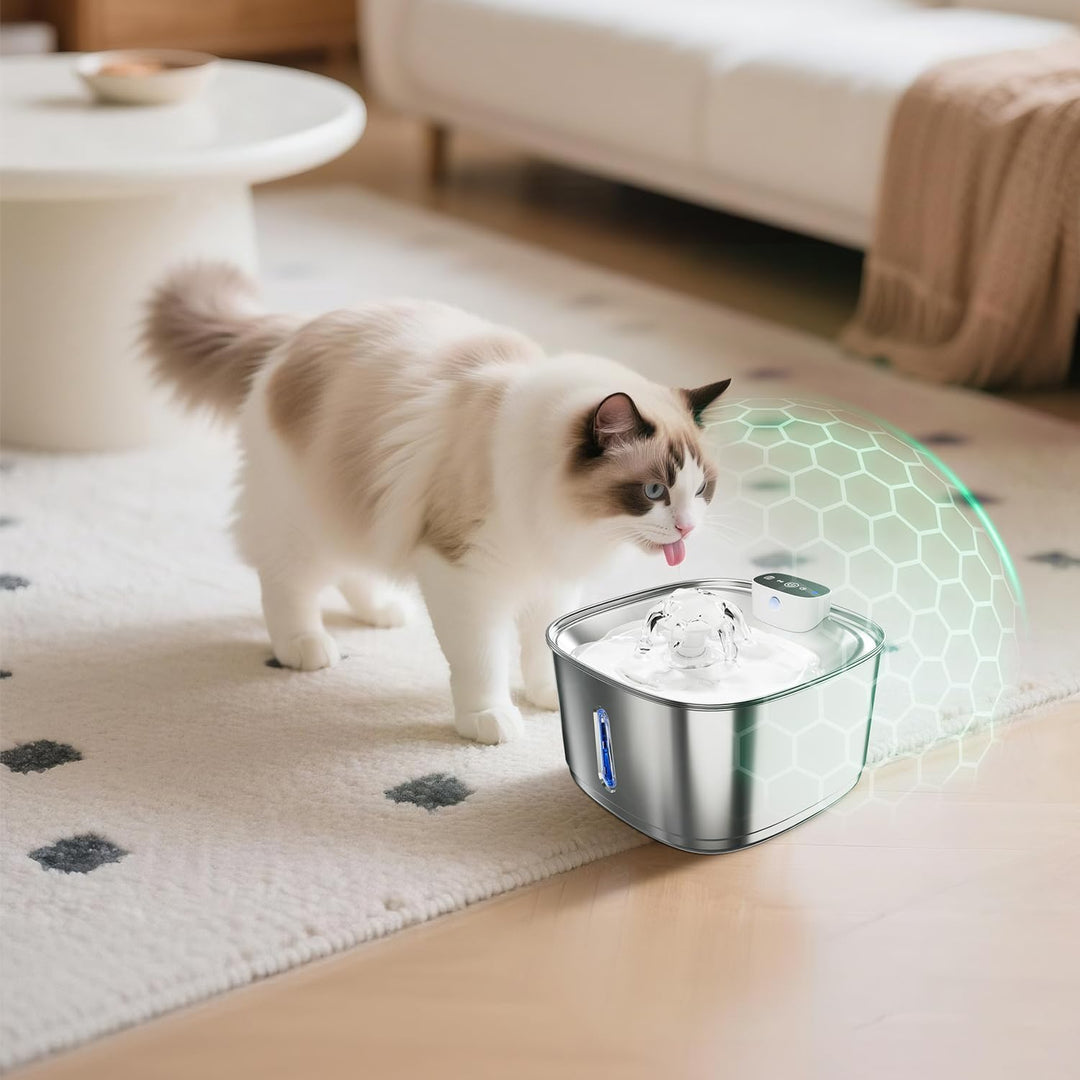 Pawinner 3.2L Katzenbrunnen Edelstahl Kabellos mit Bewegungsmelder, Trinkbrunnen für Katze mit Akku