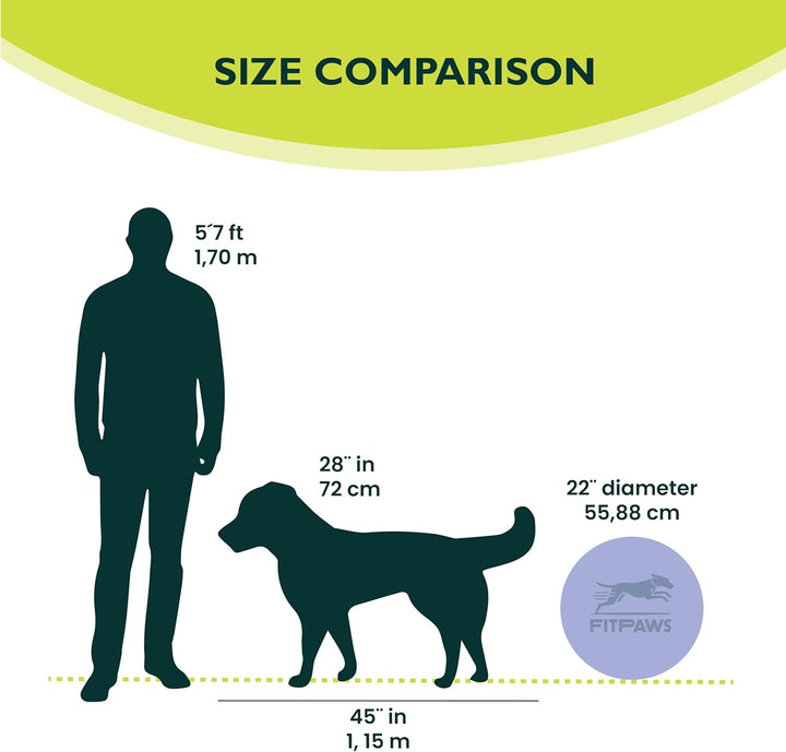 Ball Dynamics FPAWSBD 22 FitPAWS Balance Scheibe, 56 cm, blau