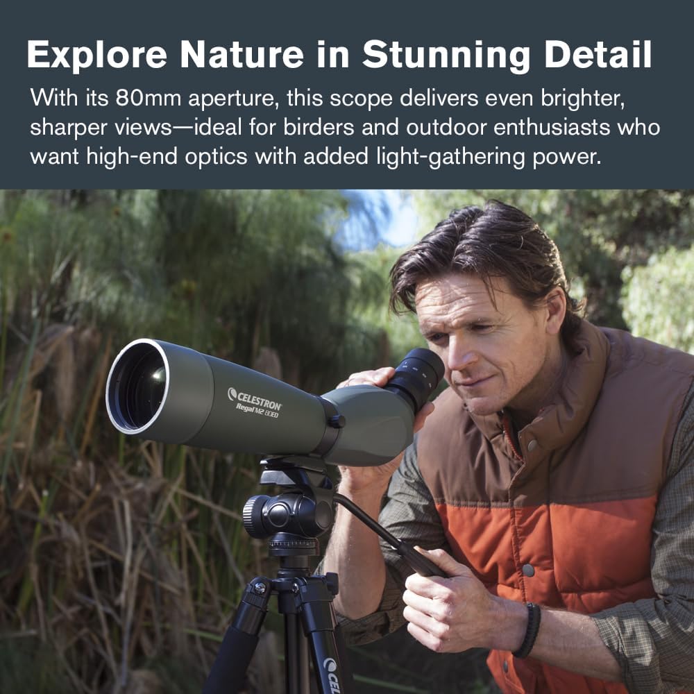 Celestron 52305 Regal M2 80ED Spektiv, Grün, Regal M2 80ED Spektiv