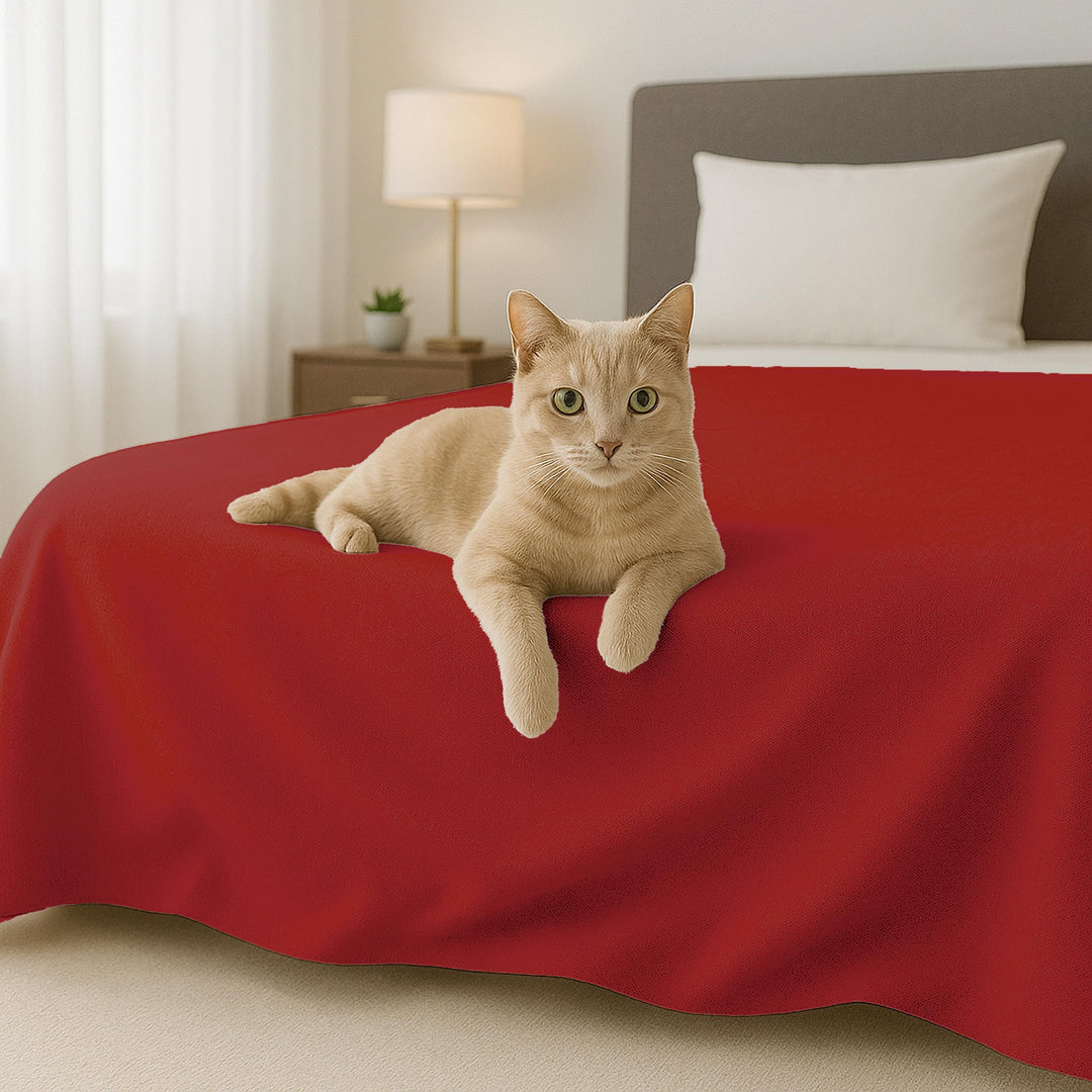 Byour3 - Tagesdecke Reine Baumwolle 100% LICHT Doppelbett Einzelbett Queen Size Bettdecke Rechteckig