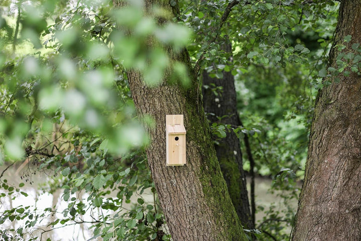 Kerbl Nistkasten Selbstbauset (Einflugloch 32 mm, mit aufklappbaren Deckel, für Vögel, aus Naturbela