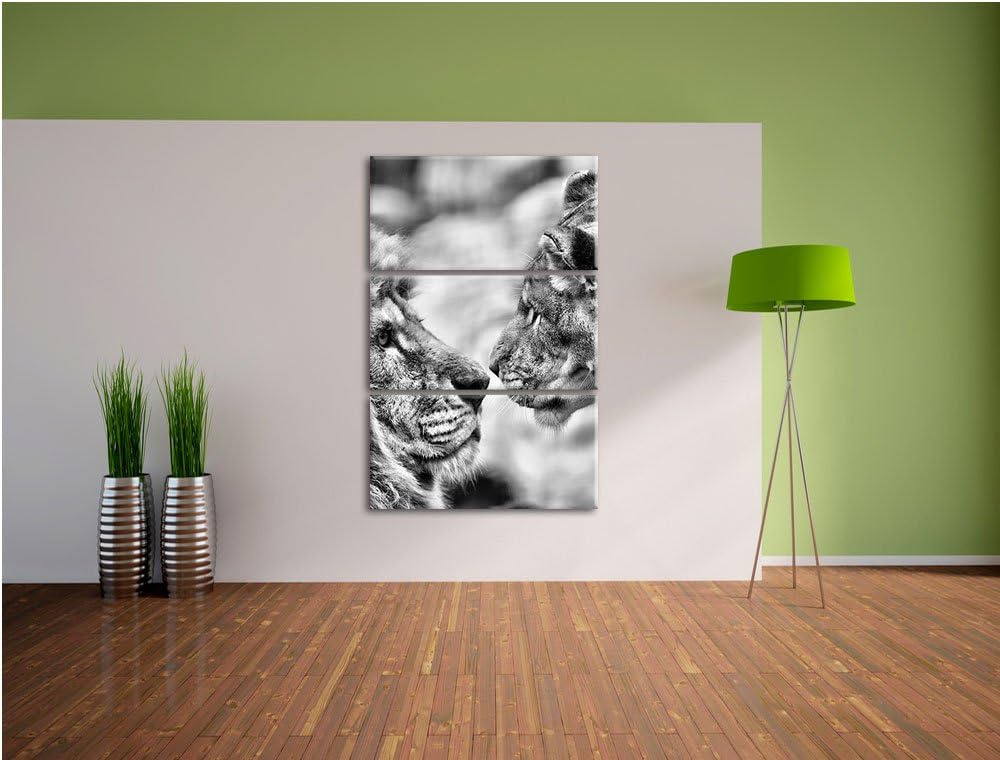 Pixxprint Verliebtes Löwenpaar als Leinwandbild/Grösse: 3 Teilig (120x80) cm/Wandbild/Kunstdruck/fer