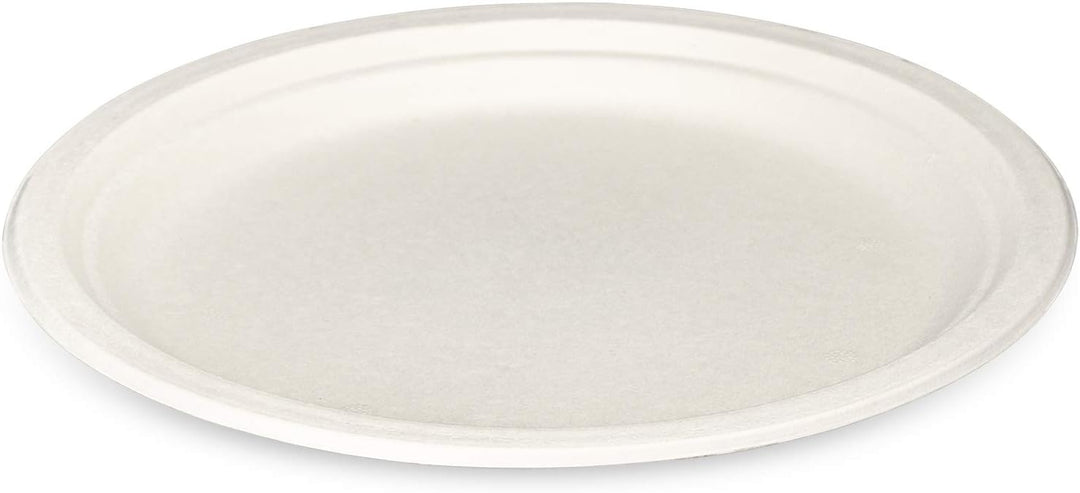 100% kompostierbare, robuste 25, cm Teller [125er-Packung] Umweltfreundliche Einweg-Pappteller aus Z