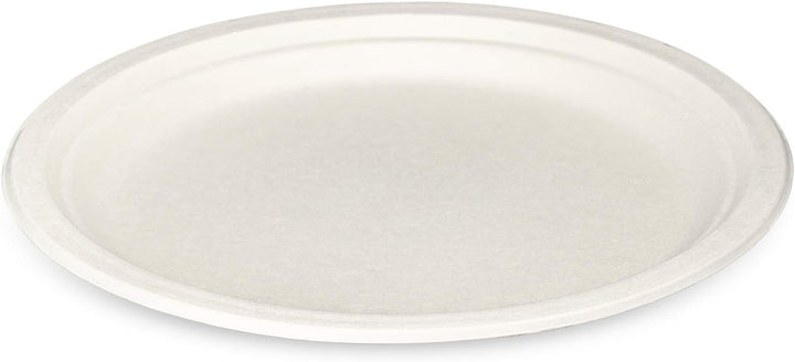 100% kompostierbare, robuste 25, cm Teller [125er-Packung] Umweltfreundliche Einweg-Pappteller aus Z